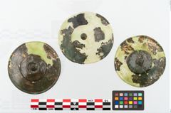 Foto von Bronzephalere (NHMW-PRAE-003459)